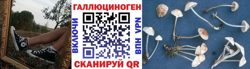 гидра как зайти  Кумертау  Псилоцибиновые грибы мухоморы 